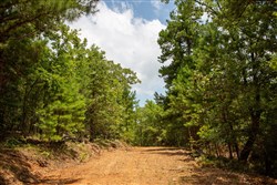property photo for Tyler Stone Ranch Tract 62, 6.46 acres for sale in Leflore County, Oklahoma