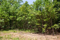 property photo for Tyler Stone Ranch Tract 62, 6.46 acres for sale in Leflore County, Oklahoma