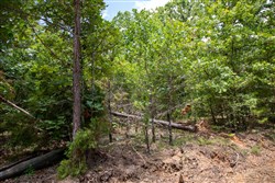 property photo for Tyler Stone Ranch Tract 62, 6.46 acres for sale in Leflore County, Oklahoma