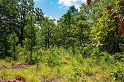 property photo for Tyler Stone Ranch Tract 74, 7.96 acres for sale in Leflore County, Oklahoma
