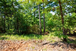 property photo for Tyler Stone Ranch Tract 74, 7.96 acres for sale in Leflore County, Oklahoma