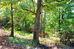 property photo for Tyler Stone Ranch Tract 74, 7.96 acres for sale in Leflore County, Oklahoma