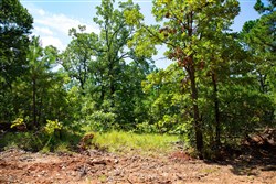 property photo for Tyler Stone Ranch Tract 74, 7.96 acres for sale in Leflore County, Oklahoma