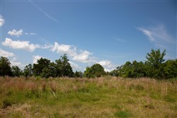property photo for Tyler Stone Ranch Tract 81, 18.02 acres for sale in Leflore County, Oklahoma