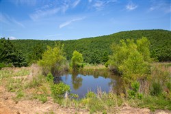 property photo for Tyler Stone Ranch Tract 81, 18.02 acres for sale in Leflore County, Oklahoma