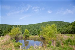 property photo for Tyler Stone Ranch Tract 81, 18.02 acres for sale in Leflore County, Oklahoma