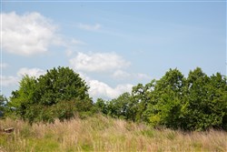 property photo for Tyler Stone Ranch Tract 81, 18.02 acres for sale in Leflore County, Oklahoma