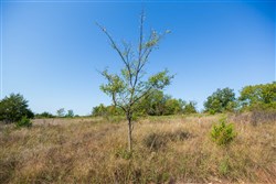 property photo for Canyon Creek Tract 12, 6.51 acres for sale in Lincoln County, Oklahoma