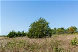 property photo for Canyon Creek Tract 12, 6.51 acres for sale in Lincoln County, Oklahoma