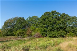 property photo for Canyon Creek Tract 12, 6.51 acres for sale in Lincoln County, Oklahoma