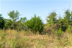 property photo for Canyon Creek Tract 15, 8.92 acres for sale in Lincoln County, Oklahoma