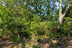 property photo for Canyon Creek Tract 15, 8.92 acres for sale in Lincoln County, Oklahoma