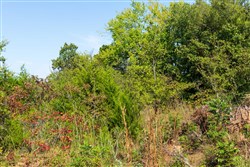 property photo for Canyon Creek Tract 15, 8.92 acres for sale in Lincoln County, Oklahoma