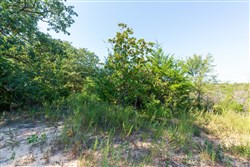 property photo for Canyon Creek Tract 15, 8.92 acres for sale in Lincoln County, Oklahoma