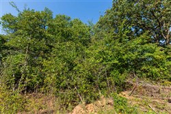 property photo for Canyon Creek Tract 15, 8.92 acres for sale in Lincoln County, Oklahoma