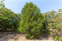 property photo for Canyon Creek Tract 17, 6.38 acres for sale in Lincoln County, Oklahoma