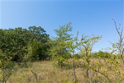 property photo for Canyon Creek Tract 17, 6.38 acres for sale in Lincoln County, Oklahoma