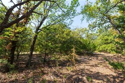 property photo for Canyon Creek Tract 17, 6.38 acres for sale in Lincoln County, Oklahoma