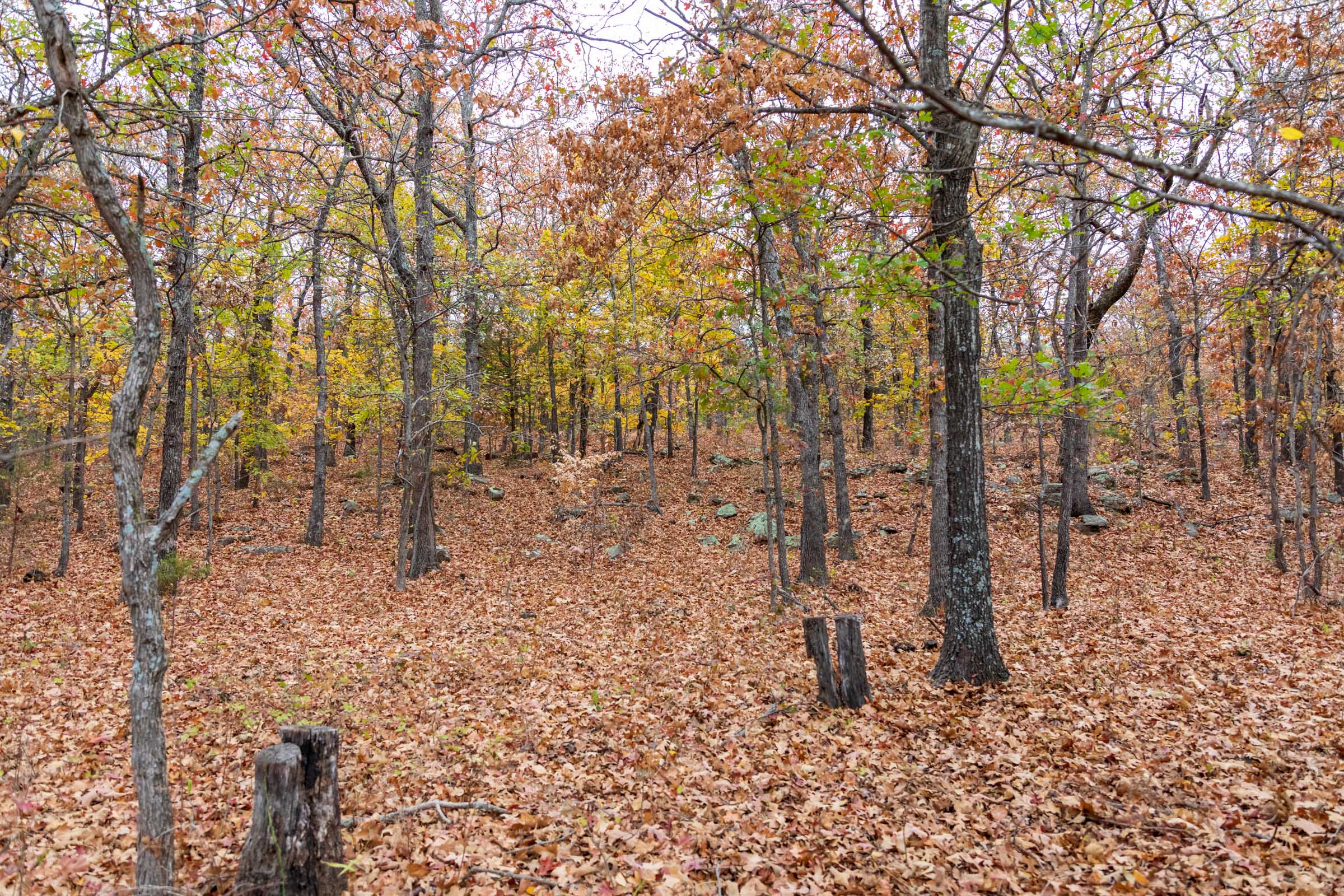 Tract 1 at Crystal Springs in McIntosh County, Oklahoma