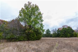 property photo for Crystal Springs Tract 2, 7.36 acres for sale in McIntosh County, Oklahoma