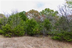 property photo for Crystal Springs Tract 2, 7.36 acres for sale in McIntosh County, Oklahoma