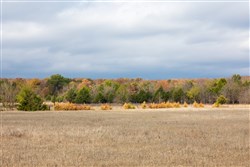 property photo for Crystal Springs Tract 5, 7.54 acres for sale in McIntosh County, Oklahoma