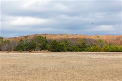 property photo for Crystal Springs Tract 5, 7.54 acres for sale in McIntosh County, Oklahoma