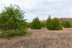 property photo for Crystal Springs Tract 5, 7.54 acres for sale in McIntosh County, Oklahoma
