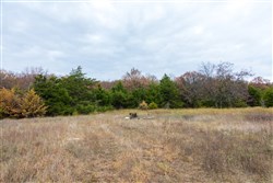 property photo for Crystal Springs Tract 5, 7.54 acres for sale in McIntosh County, Oklahoma