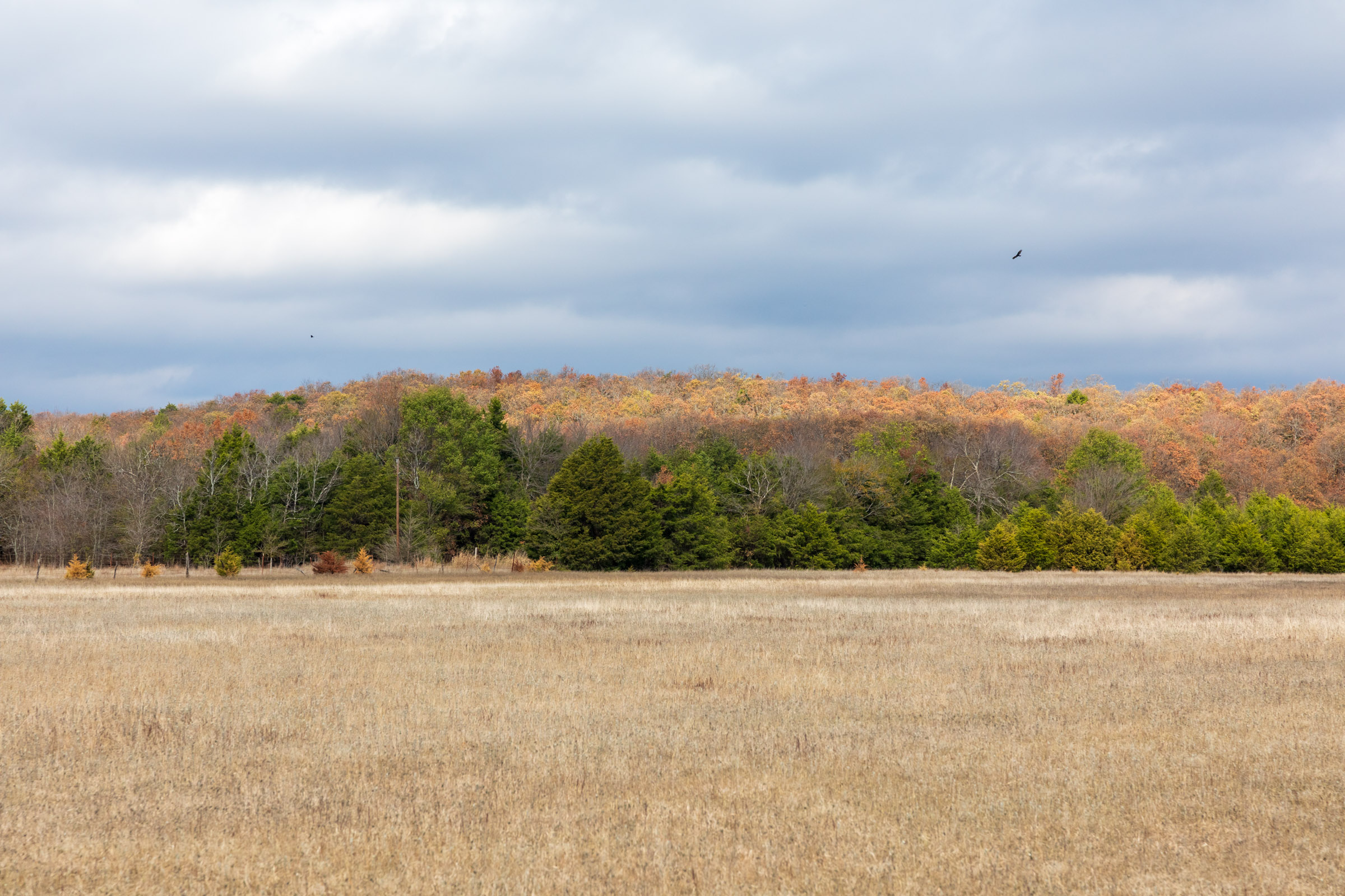 Tract 7 at Crystal Springs in McIntosh County, Oklahoma