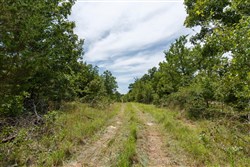 property photo for Timber Ridge Tract 13, 3.1 acres for sale in McIntosh County, Oklahoma