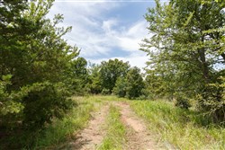 property photo for Timber Ridge Tract 13, 3.1 acres for sale in McIntosh County, Oklahoma