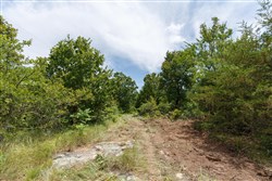 property photo for Timber Ridge Tract 13, 3.1 acres for sale in McIntosh County, Oklahoma