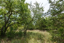 property photo for Timber Ridge Tract 13, 3.1 acres for sale in McIntosh County, Oklahoma