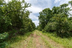 property photo for Timber Ridge Tract 35, 2.66 acres for sale in McIntosh County, Oklahoma