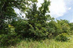 property photo for Timber Ridge Tract 35, 2.66 acres for sale in McIntosh County, Oklahoma