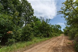 property photo for Timber Ridge Tract 35, 2.66 acres for sale in McIntosh County, Oklahoma