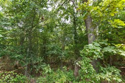 property photo for Timber Ridge Tract 35, 2.66 acres for sale in McIntosh County, Oklahoma