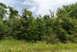 property photo for Timber Ridge Tract 35, 2.66 acres for sale in McIntosh County, Oklahoma
