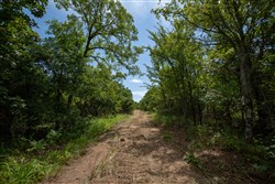 property photo for Timber Ridge Tract 43, 2.66 acres for sale in McIntosh County, Oklahoma