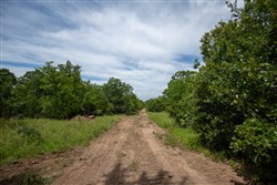 property photo for Timber Ridge Tract 43, 2.66 acres for sale in McIntosh County, Oklahoma