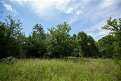 property photo for Timber Ridge Tract 43, 2.66 acres for sale in McIntosh County, Oklahoma