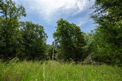 property photo for Timber Ridge Tract 43, 2.66 acres for sale in McIntosh County, Oklahoma
