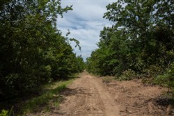 property photo for Timber Ridge Tract 44, 2.66 acres for sale in McIntosh County, Oklahoma