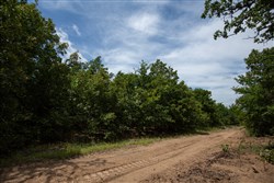 property photo for Timber Ridge Tract 44, 2.66 acres for sale in McIntosh County, Oklahoma