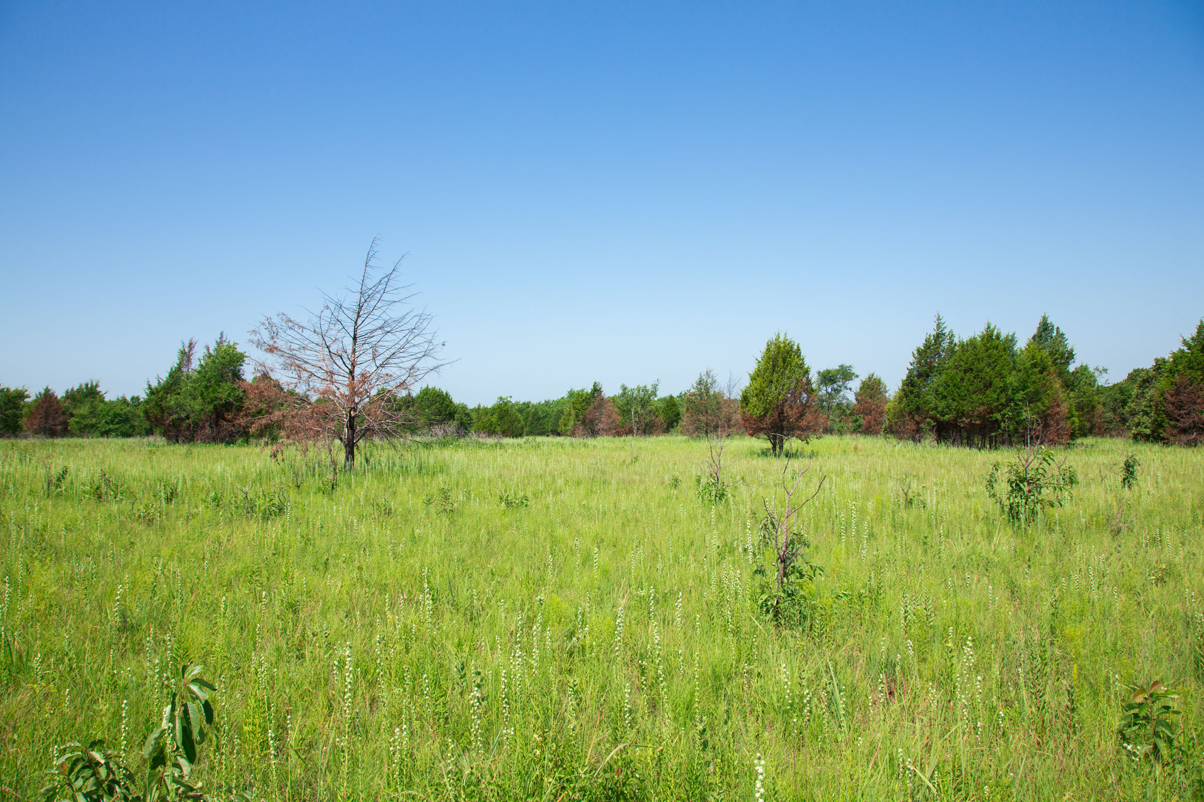 Tract 18 at Deep Fork Ranch in Okfuskee County, Oklahoma