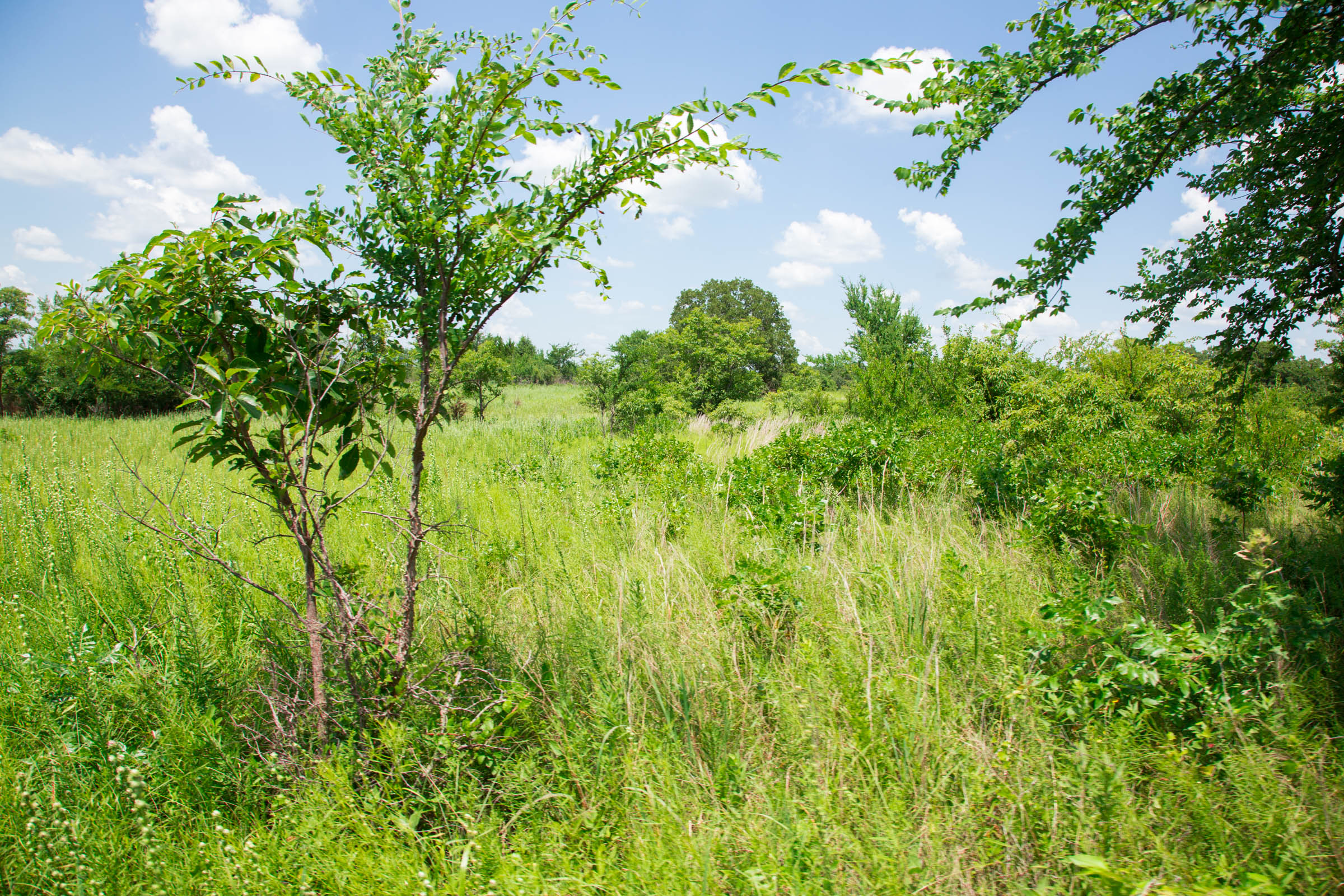 Tract 25 at Deep Fork Ranch in Okfuskee County, Oklahoma