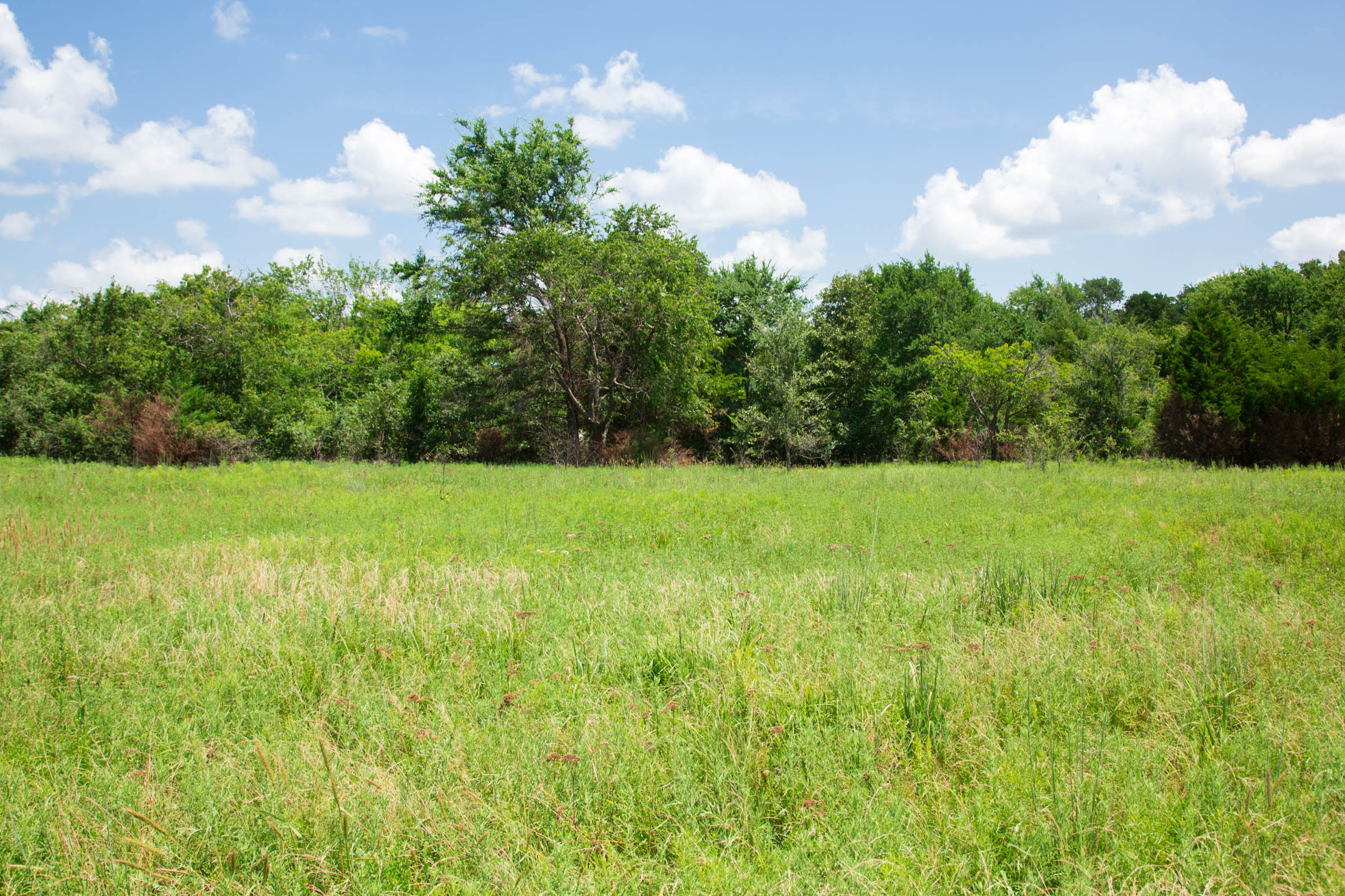 Tract 5 at Deep Fork Ranch in Okfuskee County, Oklahoma