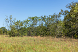 property photo for Gracyn Meadows Tract 1, 5.58 acres for sale in Okfuskee County, Oklahoma