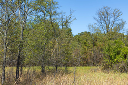 property photo for Gracyn Meadows Tract 1, 5.58 acres for sale in Okfuskee County, Oklahoma
